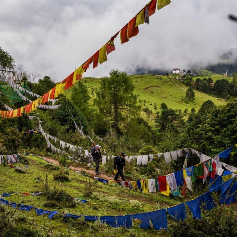Prayer flags along a hillside trekking trail in Bhutan