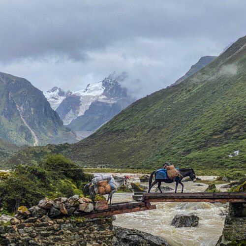 Laya-Gasa Trek