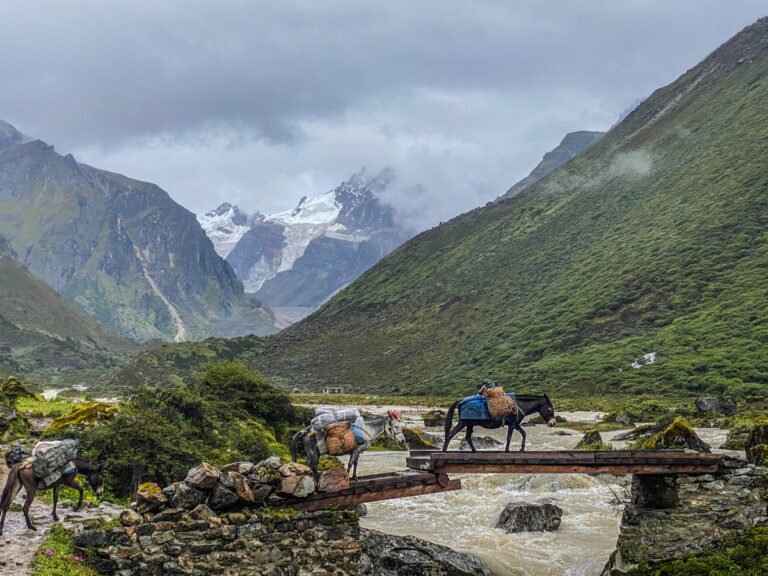 Highland village and wooden bridge below snow mountains, Bhutan