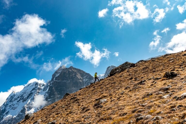 Trekker on a grassy ridge with snow peaks behind, Bhutan